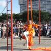 IMG_1944