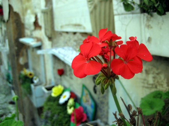 img_2240 img_2240