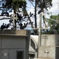 Imagen anterior