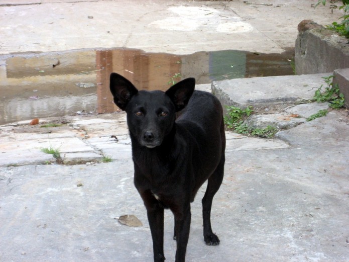 ¿Guardian de tumbas? ¿Guardian de tumbas?