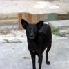 Â¿Guardian de tumbas?