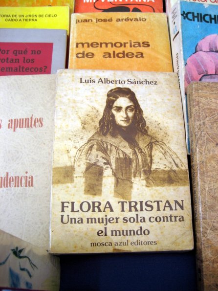 Flora Tristan - Una mujer sola contra el mundo