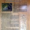 Información sobre Iximché