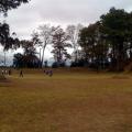 Imagen anterior