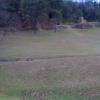 Previous Image