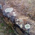El tiempo sobre las piedras