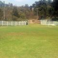 Campo de futbol