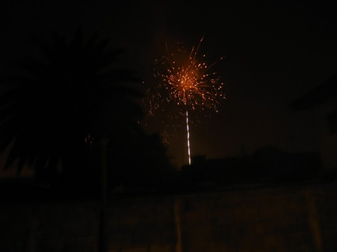 IMG_3973 IMG_3973