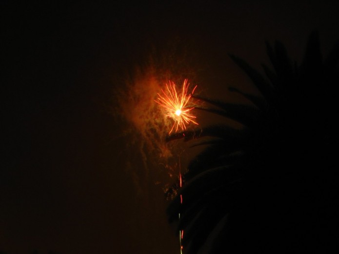 IMG_3985 IMG_3985
