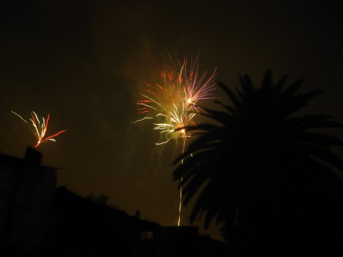 IMG_3989 IMG_3989