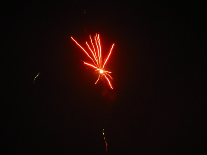 IMG_3995 IMG_3995