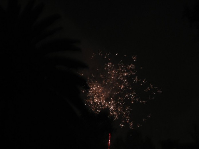 IMG_4009 IMG_4009